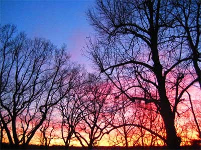 Abendhimmel Februar 2008